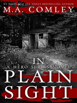 cover image of In Plain Sight